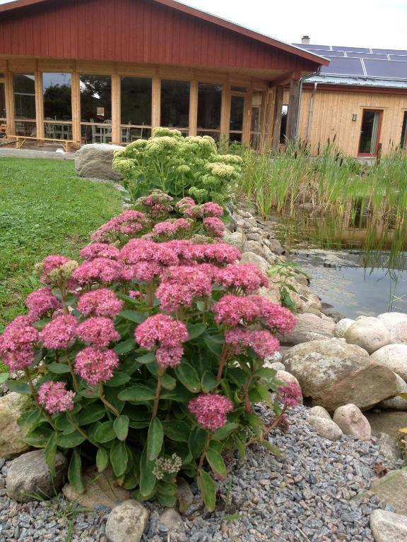 Kontakta Liselotte Abel Bed & Breakfast Vessigebro Exterior photo