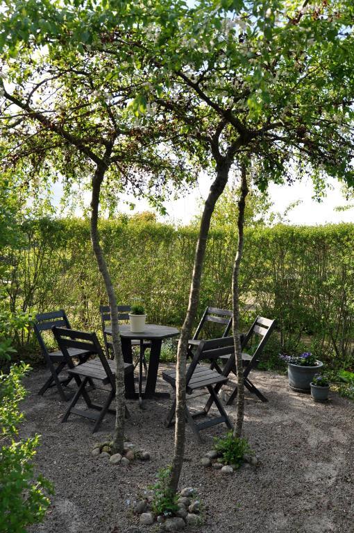 Kontakta Liselotte Abel Bed & Breakfast Vessigebro Exterior photo